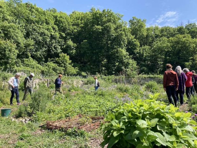 Potager du Bois de Chênes