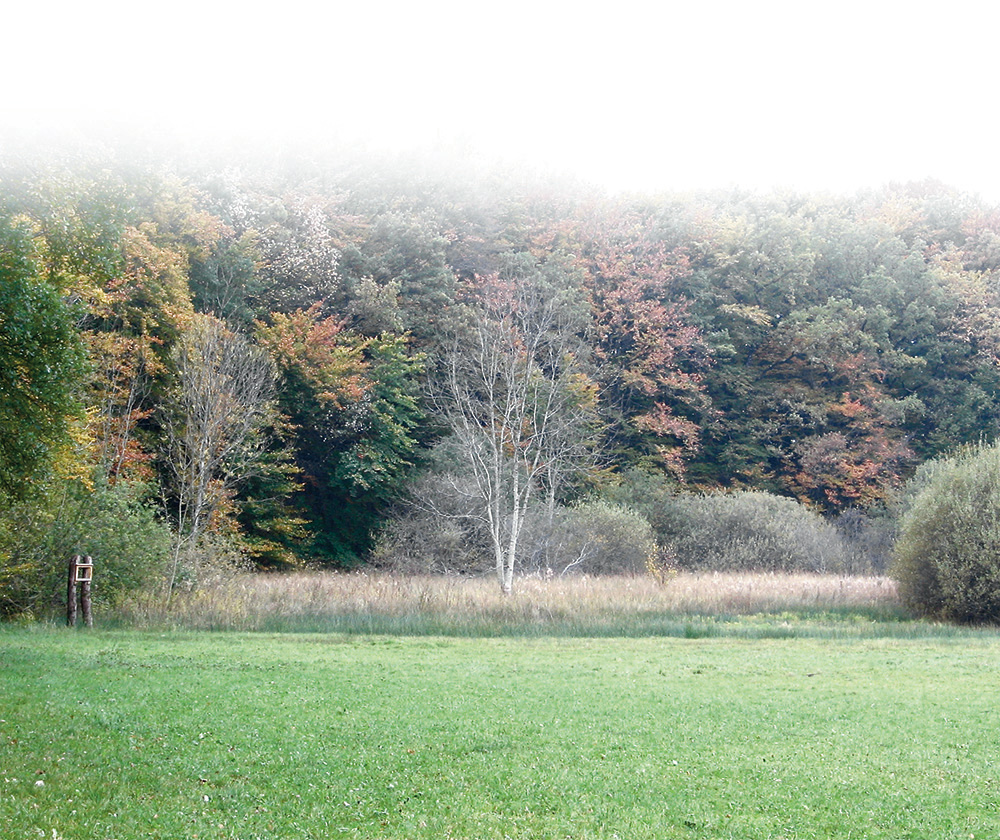 bdc_panorama_s