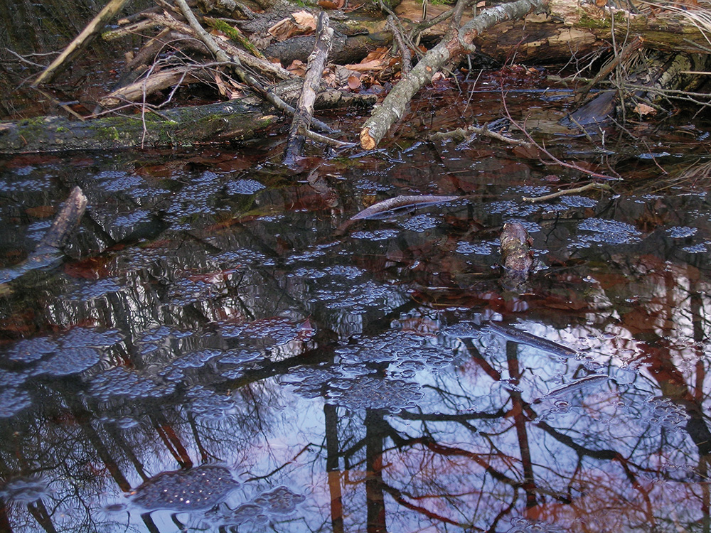 dscn0671