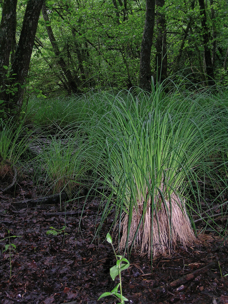 dscn1342_0