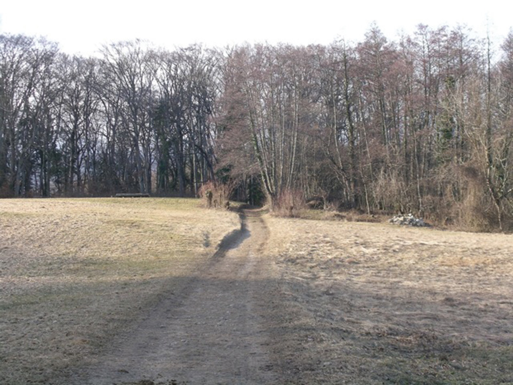 dscn1957