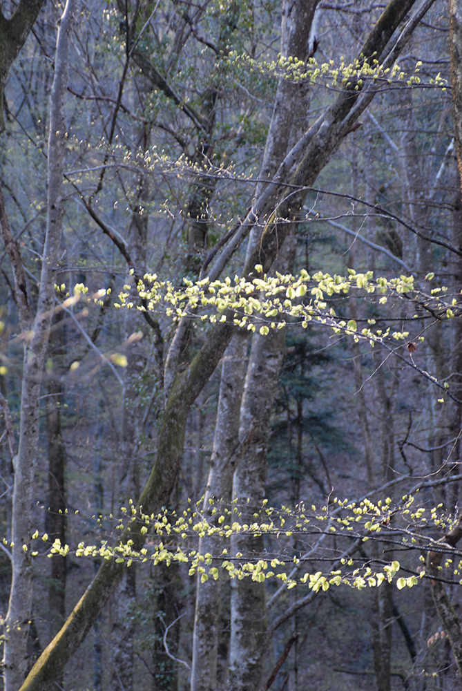dscn2598_0