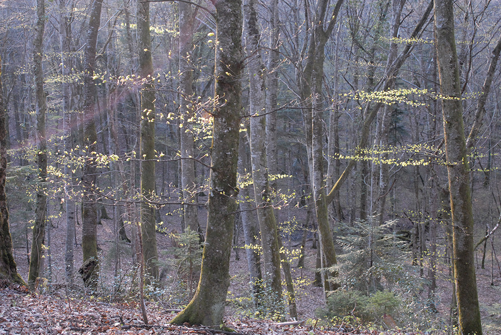 dscn2601