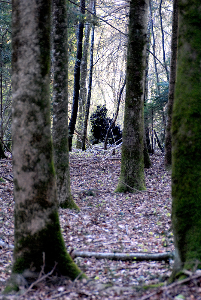 dscn2604_0