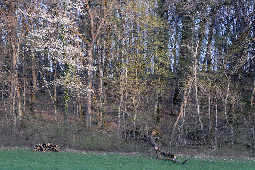 dscn2638