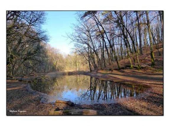 p1020325_web_0