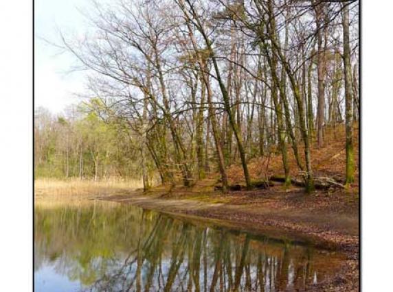 p1030390_web_0