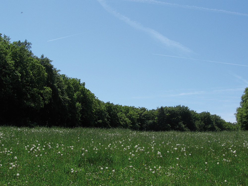 parcelles-_06